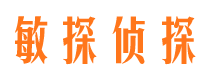 盐都市侦探公司